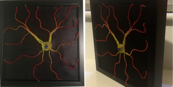 neuron-with-dendrite-marker-colocalization